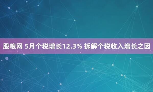 股粮网 5月个税增长12.3% 拆解个税收入增长之因