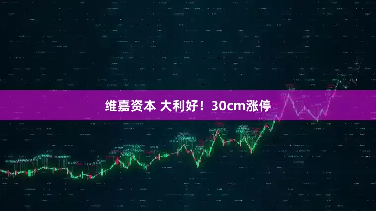 维嘉资本 大利好！30cm涨停