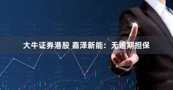 大牛证券港股 嘉泽新能：无逾期担保